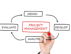 project management spotlight